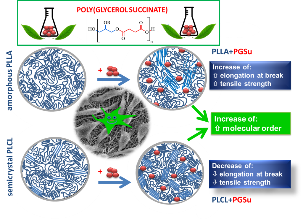 Polymers_MDPI's tweet photo. #polymers 
"Poly(Glycerol Succinate) as an Eco-Friendly #Component of #PLLA and #PLCL #Fibres towards #Medical Applications"
https://t.co/DOI1WJU4vQ https://t.co/oGJkBnuBl1