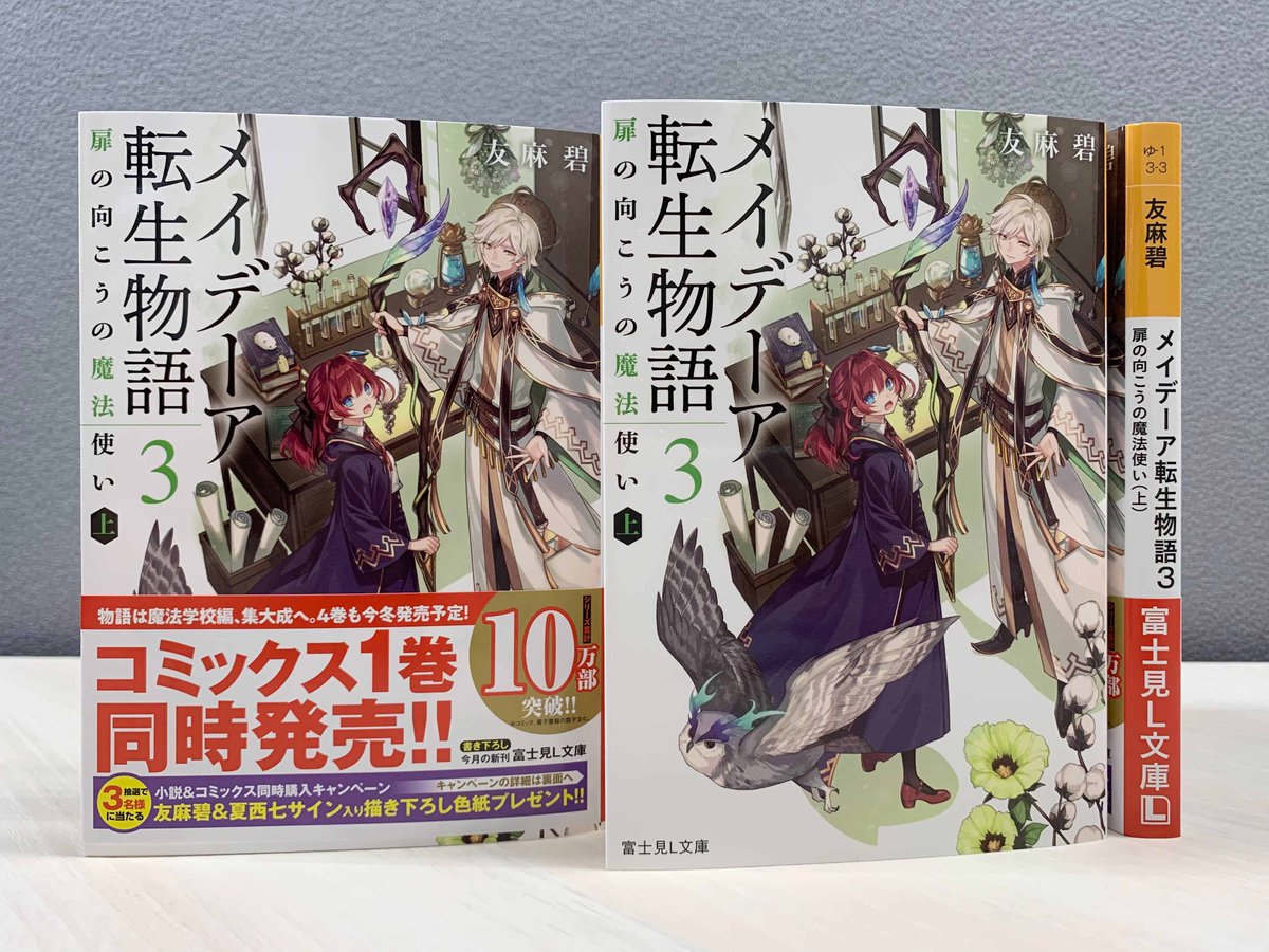 富士見l文庫 公式 8月新刊 メイデーア転生物語 ３ 扉の向こうの魔法使い 上 著 友麻碧 イラスト 雨壱絵穹 戦いに備え動き出すメイデーアの国々 落第王子の秘めた想いは誰がために 富士見l文庫 T Co Xh0yoeqenu T Co