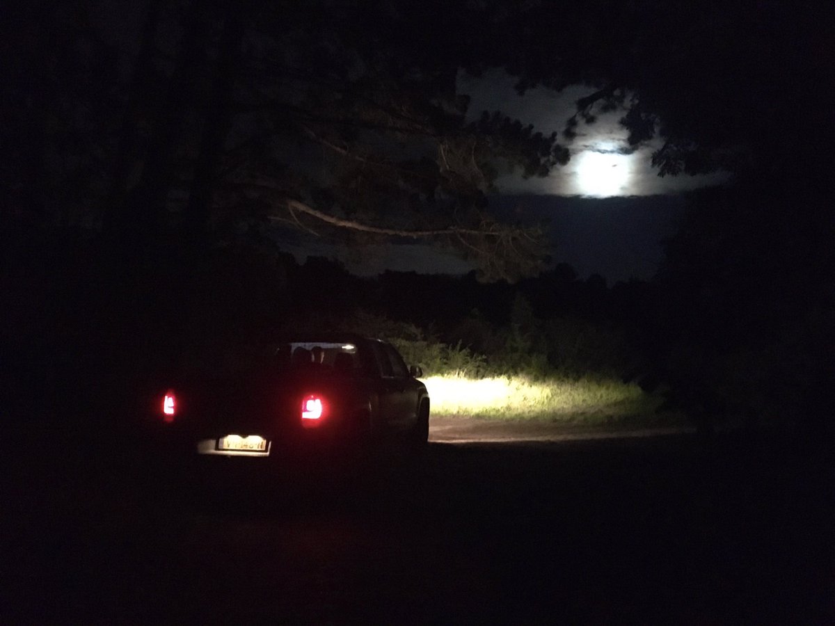 ZHLBoswachterVW's tweet photo. Gister avond/nacht dienst met @BoswachterJerry en @SanderPenning gedraaid 13xPV #zononder ,#wild kamperen, #crossmotor in een @natura2000 gebied. https://t.co/ohHIVLM3KQ