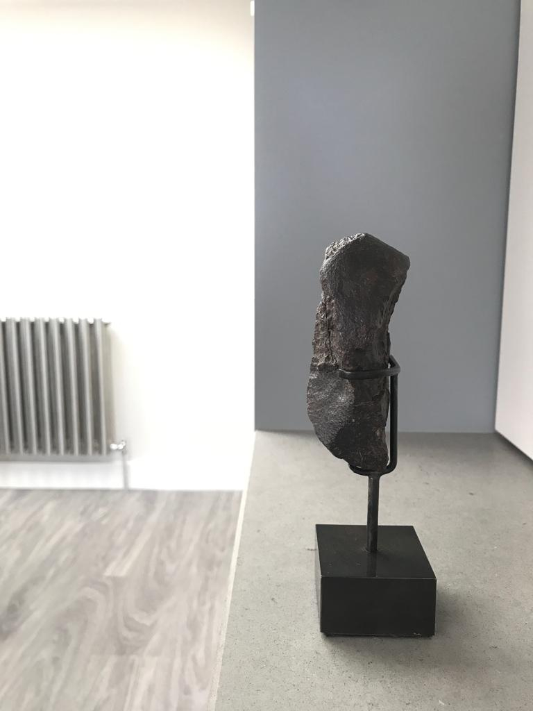 thefossilstore's tweet image. Discover the #outer_space to transform your inner abode&amp;gt;thefossilstore.com/collections/mi… #interiors &amp;amp; #meteorites&amp;gt;thefossilstore.com/collections/me…