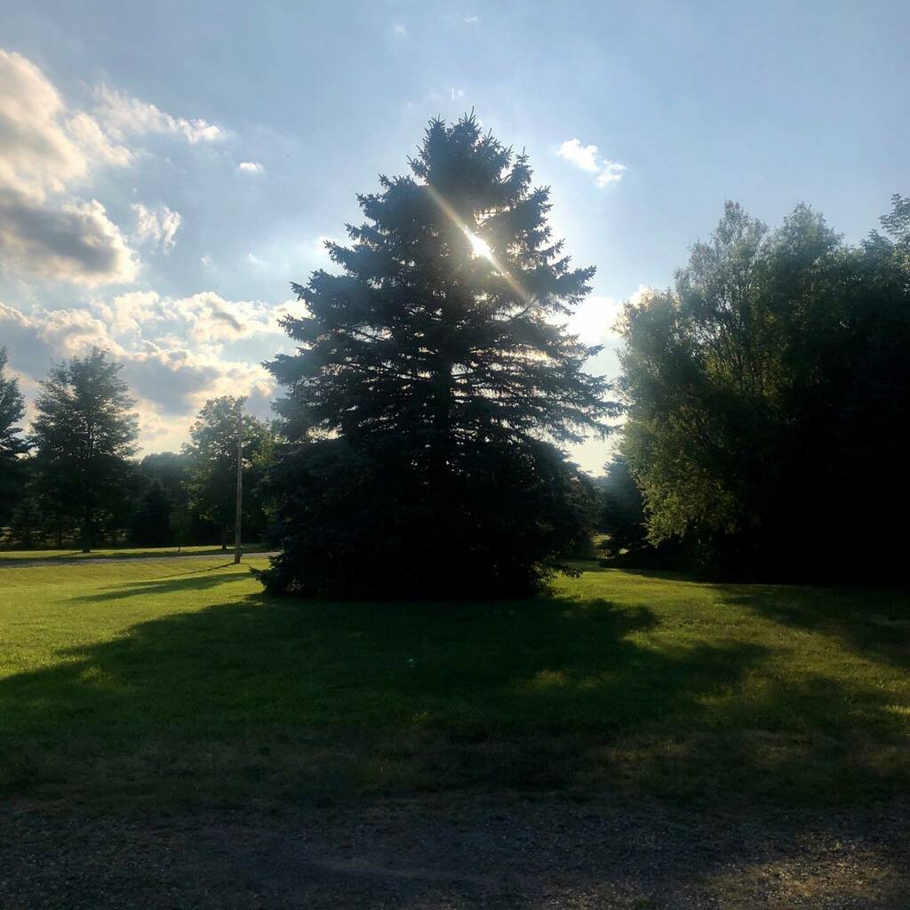 #talkedtotheboss 
He said to consider yesterday: Did anyone catch your anger or fear in an unguarded moment?
If so, ask forgiveness, receive mercy &amp; make a joyful commitment to do better today.
Yesterday is done, today is filled with opportunities to do … instagr.am/p/CDgLGPshmmo/