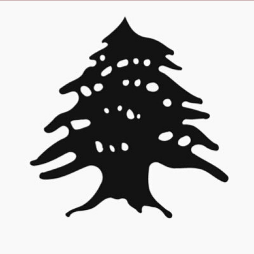 dmezher's tweet photo. #NewProfilePic https://t.co/juI0NswaYJ