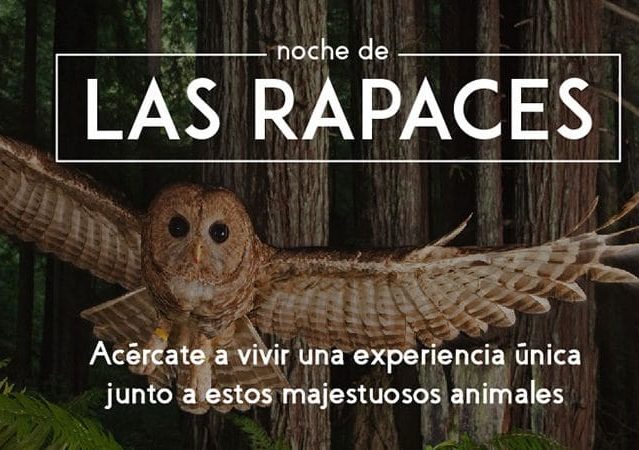 QuebrantaPNCazo's tweet photo. ¿Te gustan las aves🦉rapaces? Este sábado @el_tranco nos ofrece una ruta nocturna a pie que nos adentrará por el bosque y nos permitirá escuchar algunos de los ejemplares que habitan en la sierra. https://t.co/rDg2btSkh1 @dipujaen #parquenatural #naturaleza #turismodeaves https://t.co/99FpbwiaQ9