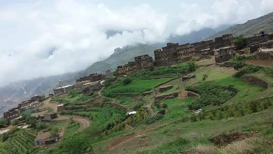 RimaYemen's tweet photo. #الطبيعه_في_محافظة_ريمة_غير 🌲 
قرية المعترض مديرية بلاد الطعام #محافظة_ريمة 🇾🇪 https://t.co/TAyQL0Owu0