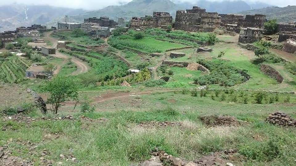 RimaYemen's tweet photo. #الطبيعه_في_محافظة_ريمة_غير 🌲 
قرية المعترض مديرية بلاد الطعام #محافظة_ريمة 🇾🇪 https://t.co/TAyQL0Owu0