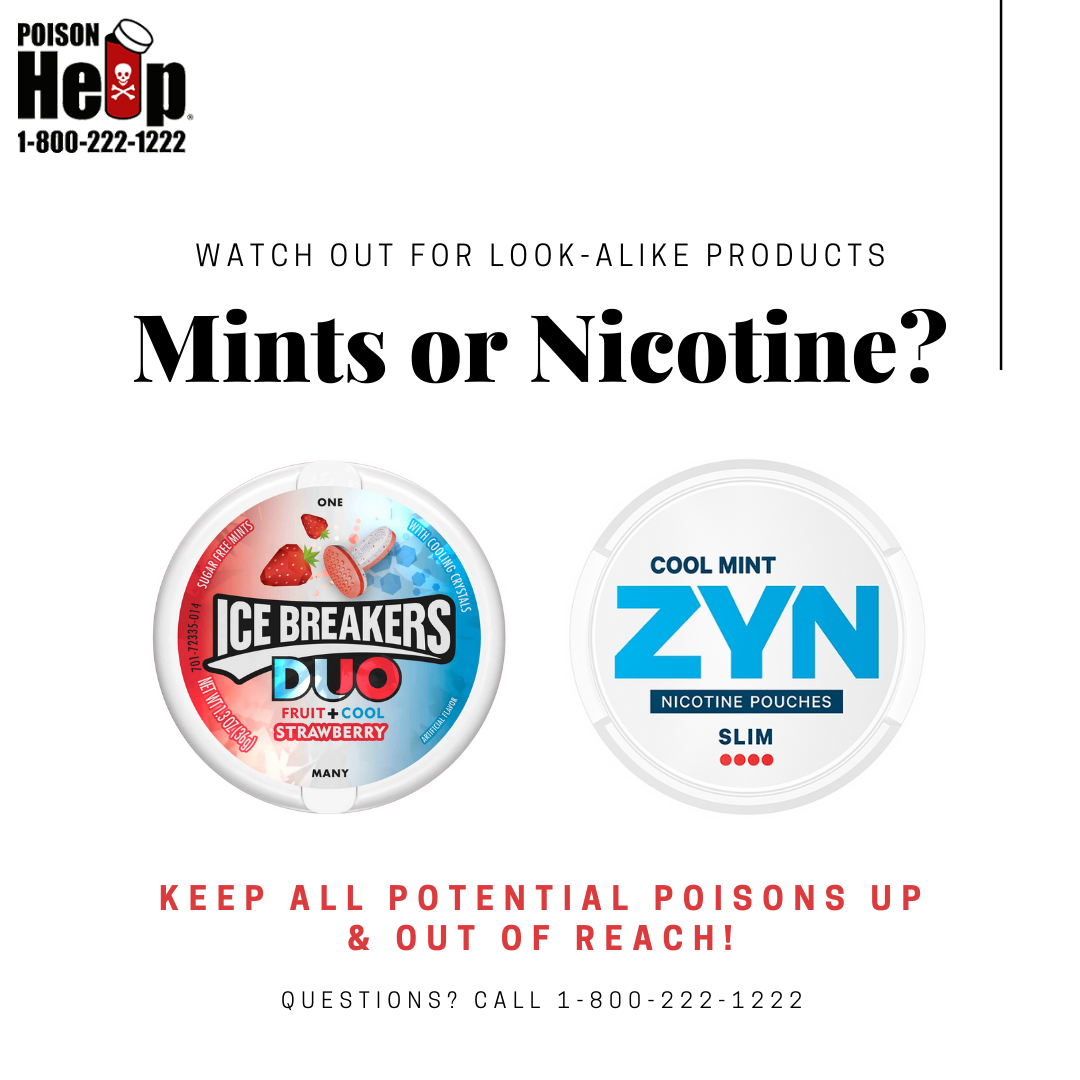 TXPoisonControl's tweet photo. Follow along this week as we share a series of product lookalikes!
While all of them will look like mints, you'll find that some are actually potential poisons.
#preventpoison #lookalikes #poisonhelp 
Keep all potential poisons up and out of reach! https://t.co/RKtarKP43r