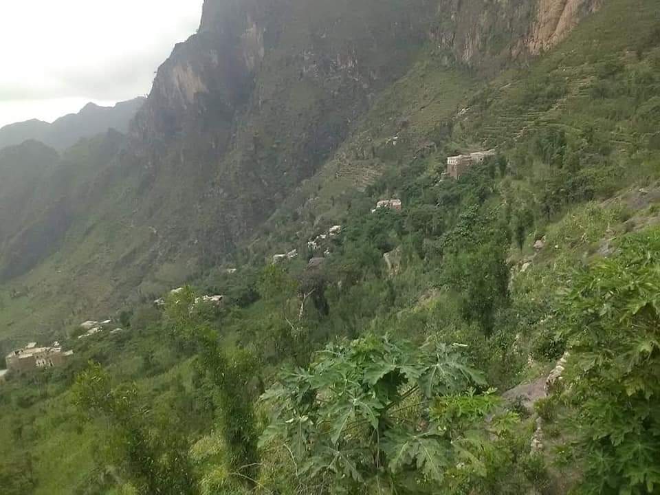 RimaYemen's tweet photo. #شارك_علق_اعجاب ♥️
#الطبيعه_في_محافظة_ريمة_غير 🌲 
مديرية الجعفرية #محافظة_ريمة 🇾🇪 https://t.co/6NdUmGAGqY