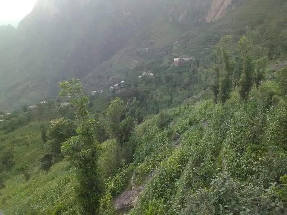 RimaYemen's tweet photo. #شارك_علق_اعجاب ♥️
#الطبيعه_في_محافظة_ريمة_غير 🌲 
مديرية الجعفرية #محافظة_ريمة 🇾🇪 https://t.co/6NdUmGAGqY