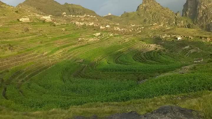 RimaYemen's tweet photo. #شارك_علق_اعجاب ♥️
#الطبيعه_في_محافظة_ريمة_غير 🌲 
قرية المخلاف المسخن مديرية بلاد الطعام #محافظة_ريمة 🇾🇪 https://t.co/1ORECsPN49