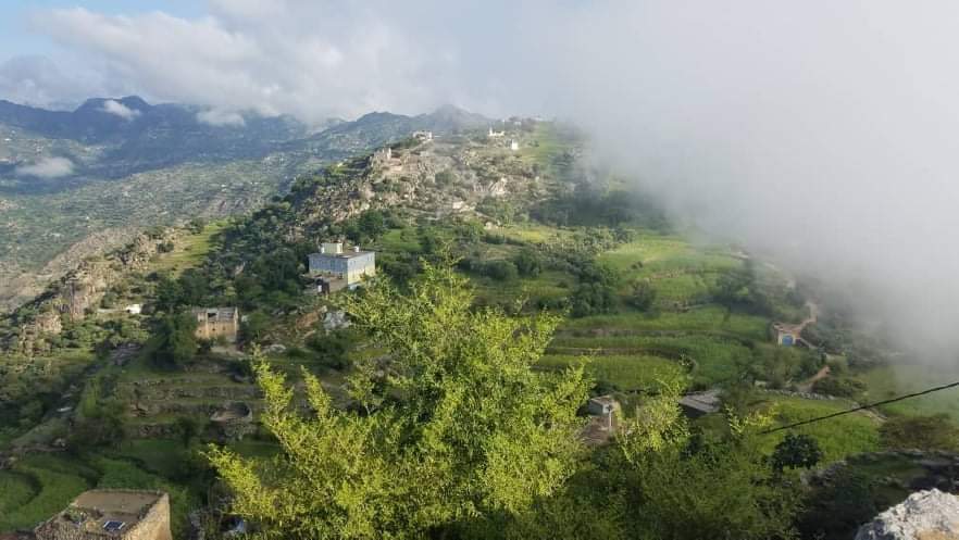 RimaYemen's tweet photo. #شارك_علق_اعجاب ♥️
#الطبيعه_في_محافظة_ريمة_غير 🌲 
قرية المخلاف المسخن مديرية بلاد الطعام #محافظة_ريمة 🇾🇪 https://t.co/t0aAKWYlAR