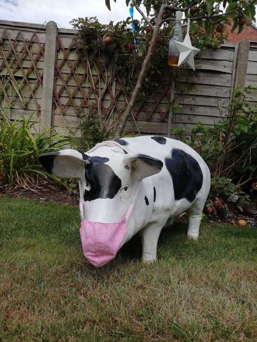 Penny is off to the shops, she's feeling a bit nervous but hopeful it will go well. She fancies a nice big bag of scraps and a pound of apples. #itsonlyamask #takenochances