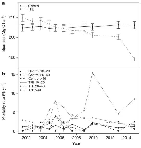 2. Drought can kill many large trees because of failure to their water transport systems. This can cause the canopy to open, increasing light availability in the understory.  https://doi.org/10.1038/nature15539