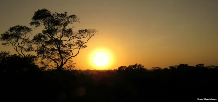 1. The Amazon rainforest is experiencing more frequent, prolonged and extreme drought events. These are predicted to intensify over the next century.