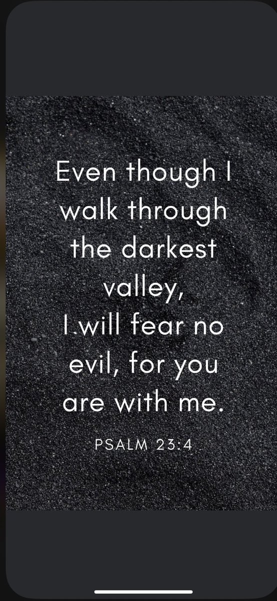 Mike Giannone tweet media