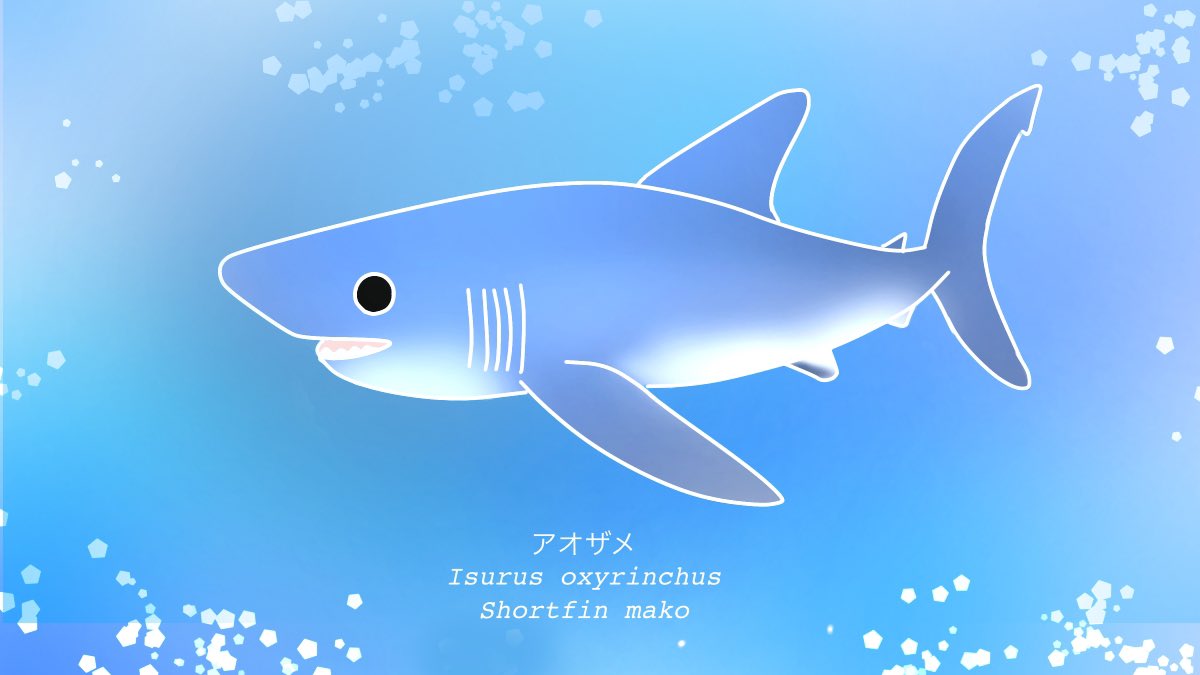 アオザメ Twitter Search アオザメ Twitter Search