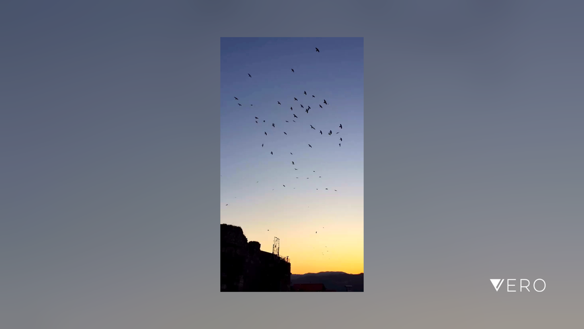 EnginEsertrk's tweet photo. #nowplaying #worthafollow #onverofirst #veropresents #photographerlife #photography #art #vero #veroturkey #moreonvero #limitless #borglife #travel #authorsunite #borglife #cosplay #nature #travels #travel #foodie #mood #illustrat… https://t.co/xBJliR3EIg https://t.co/2l4SaA6vTD