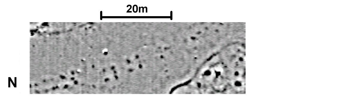 Tantalising close ups of our geophysical survey inside Hod HillAn Iron Age roundhouse with gulley, internal post ring, storage pits, hearth and SE facing entrance A section of road bordered by rows of 4 post structures - (possibly granaries) #HillfortsWednesday  #LoveGeofiz