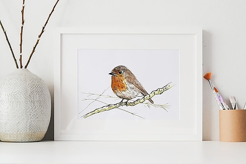 morvennauk's tweet photo. My Robin prints have been super popular again this month! #robin #rspb #britishbirds #robinart  https://t.co/hB1bpL8OQ5 https://t.co/yM0QQBtyjY