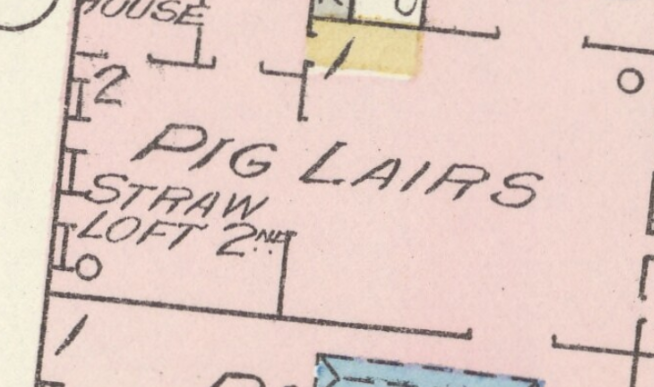 Pig Lairs and Cow Houses.