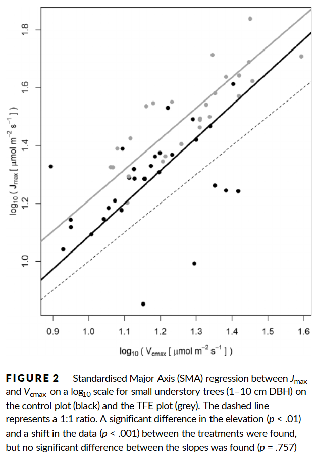 8. Small trees modified how they invested their resources under drought conditions. They increased their maximum rates of electron transport (Jmax – the light capture reactions) more than their maximum rates of carboxylation (Vcmax – the dark reactions that fix CO2 into sugars).