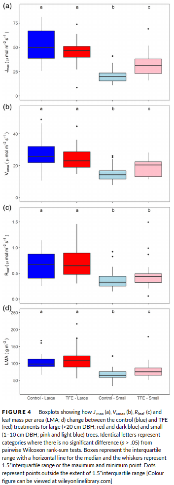 11. Unlike small trees, large trees did not respond to the drought treatment. This suggests small trees are less stressed and have greater phenotypic plasticity, increasing their potential to respond to changes in their environment.