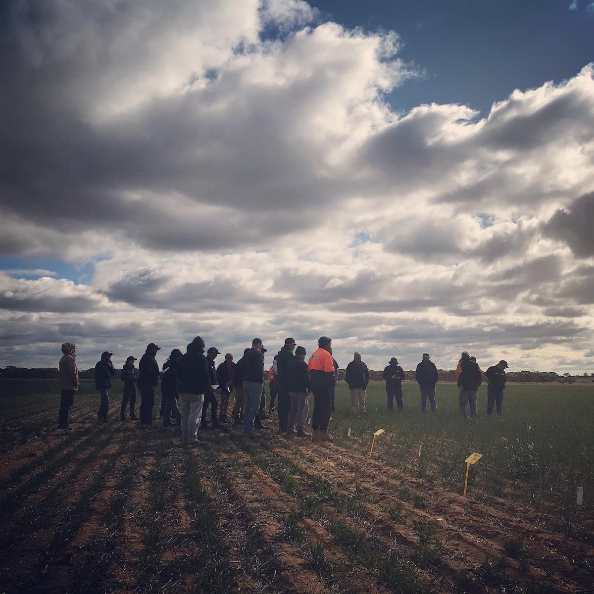 Independent Rural tweet media