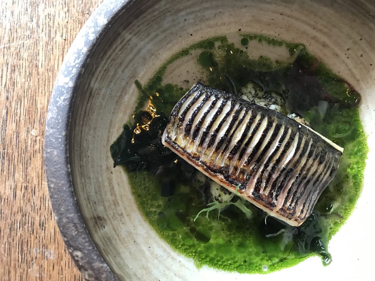 PavlovaAndCream tweet media