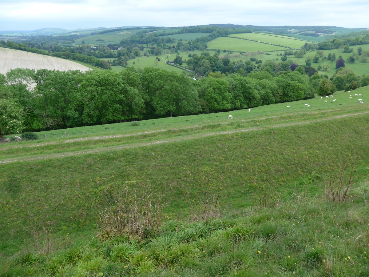 Hod Hill  #Dorset for  #HillfortsWednesday:The view to the North of the Iron Age ramparts to the Iwerne Valley and the view NW to the River StourProper lovely 