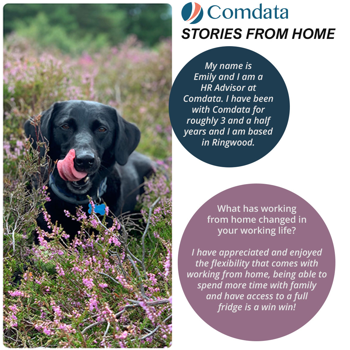 Comdata UK tweet media