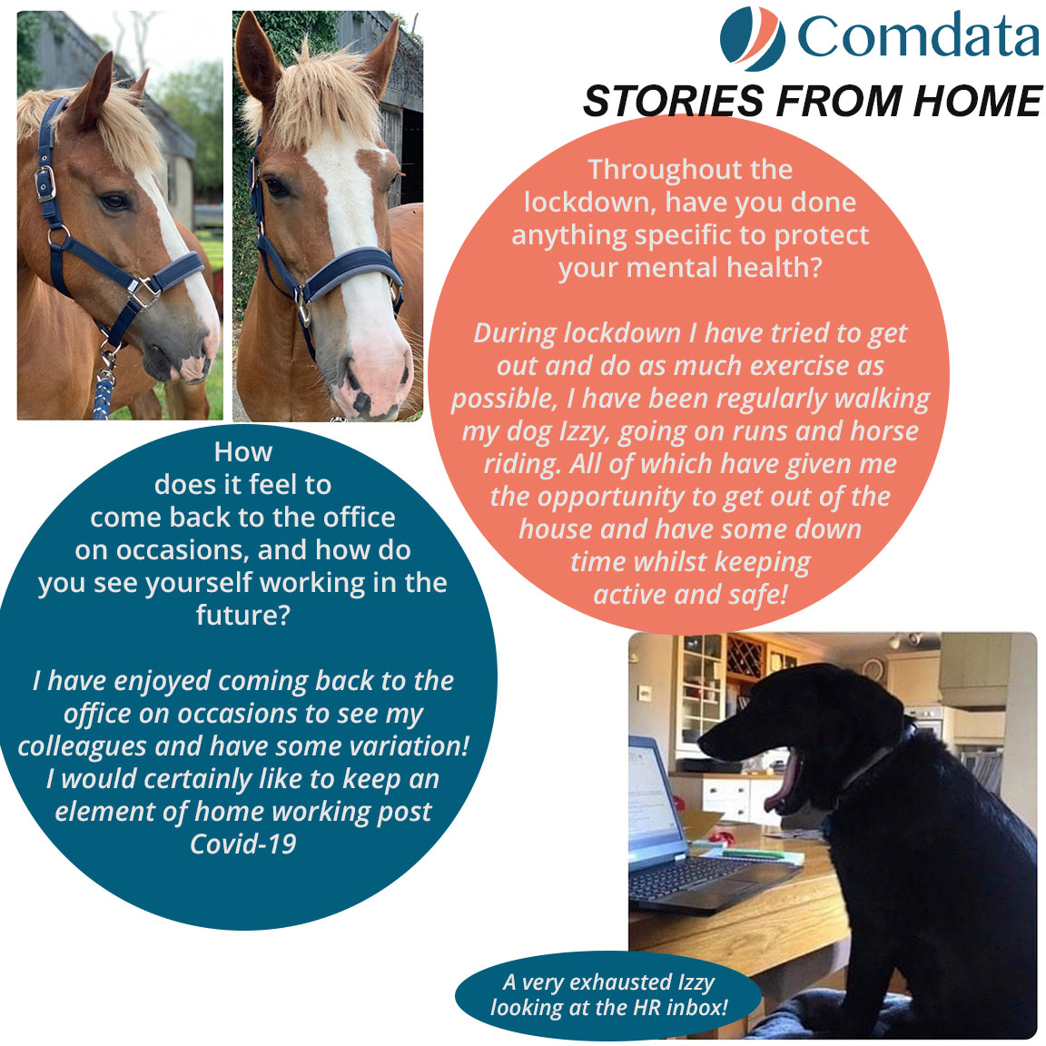 We're taking you on a trip to Ringwood, to have a chat with Emily, from our HR team, and her magnificent menagerie! #StoriesFromHome #WorkingFromHome #WeAreComdata