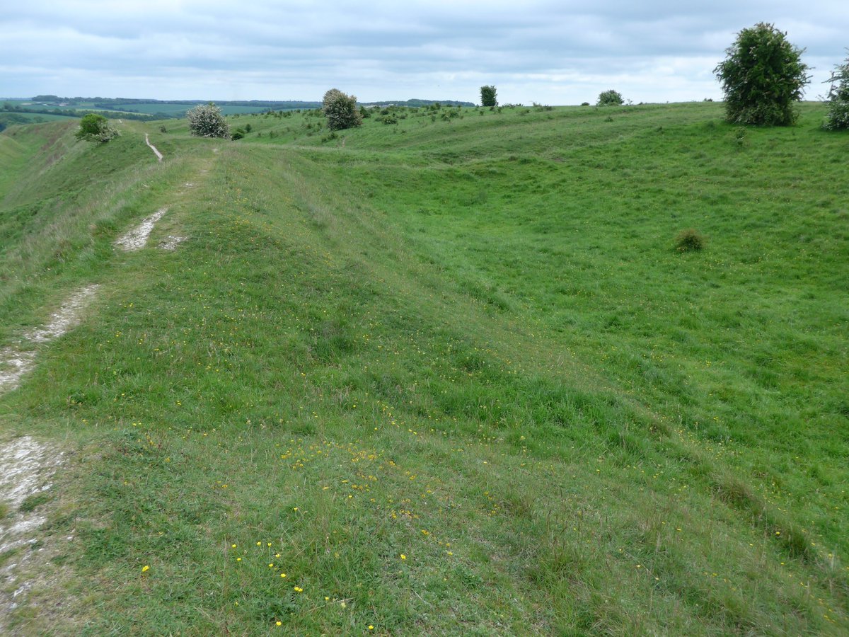 More of Hod Hill  #Dorset for  #HillfortsWednesday : the northern bivallate ramparts of the hillfort looking East;the Eastern circuit of the Roman fort where it intersects with the Iron Age earthworks;the Southern inner scarp with quarry pits