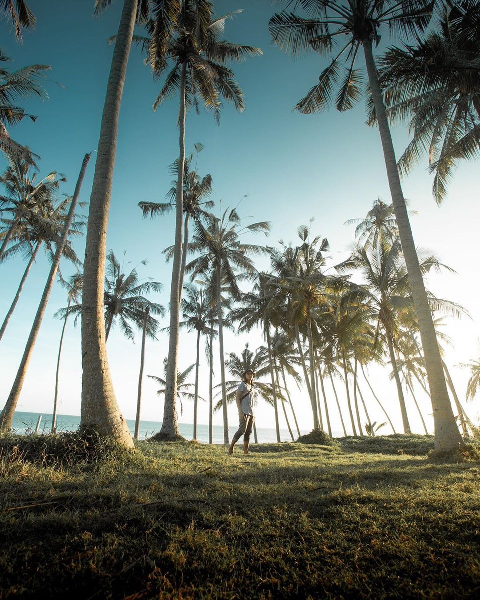 getaway_id's tweet photo. Kenangan antara kita di tengah lautan akan selalu hidup, lama setelah jejak telapak kaki kita di pasir pantai hilang.⠀
👣 Pantai Pasut, Tabanan, Bali
#ExploreBali #travelphotography #getawayindonesia https://t.co/Dq4CGgczuW