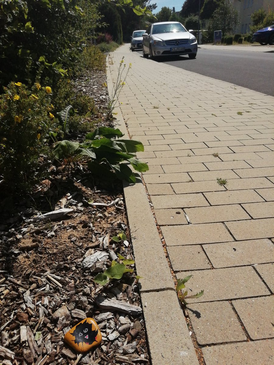 #Sauerlandstones in Kassel