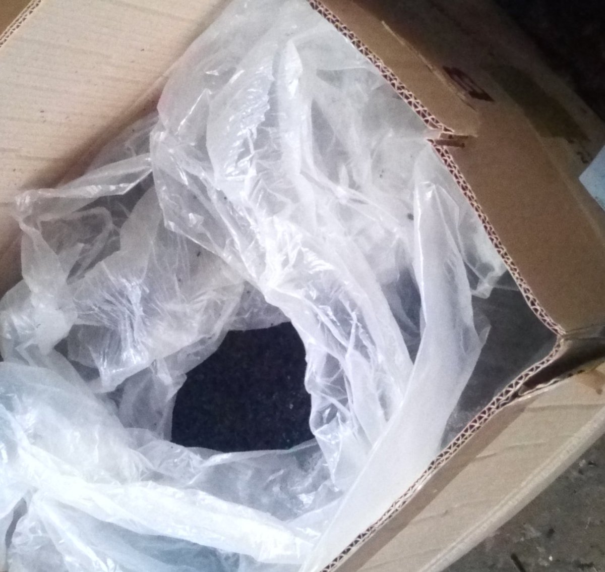 PlasticAtBay's tweet photo. Preparing our first large order of shredded ocean plastic for a crazy project of giant 3D printing from #bloftdesignlab. These were fish farm pipes we found on the coast, about to become a 3D printed paddle board! Stay tuned as this is quite an exciting project! https://t.co/yhSXim7z95