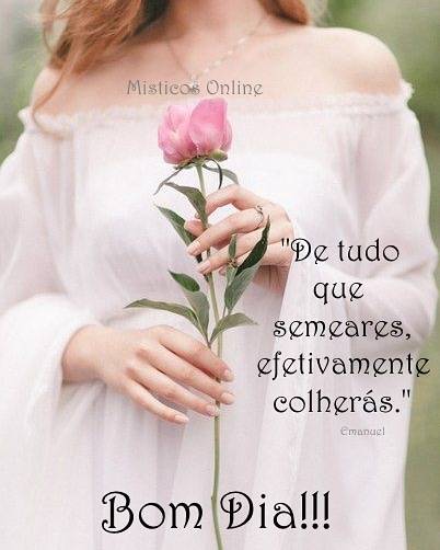 Místicos Online - Bom dia!!! Feliz Semana!🌸🌸🌸