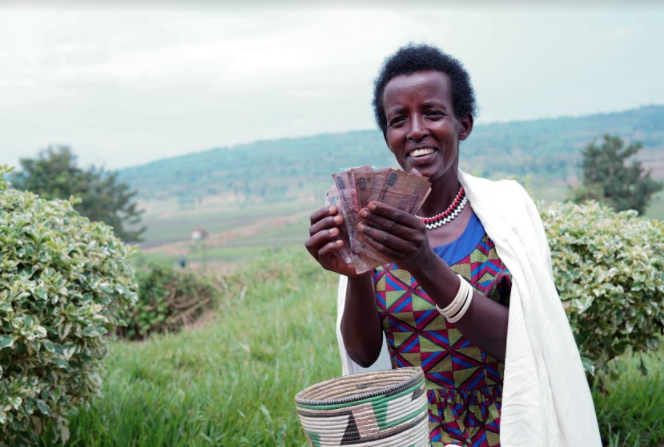 MastercardFdn's tweet photo. Partner @iccotweet developed the A-CAT tool to better assess borrowing needs and repayment capacities of #smallholder farmers in #Africa. Through our STARS project, 200,000+ farmers have benefited. Now, #digitization will help to reach even more. See how: https://t.co/Td41BndHFg https://t.co/ER4sWmlXhT