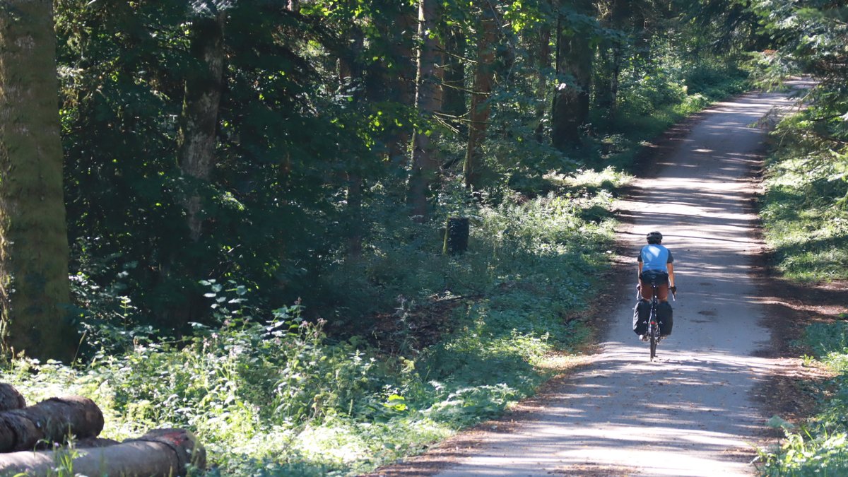 WeelzFr's tweet image. #GTJ x Weelz | J1 ⛰️🌲🚴‍♂️
On a quitté Pontarlier ce matin et les premiers sentiers forestiers se sont offerts à nous rapidement (le dénivelé aussi). La progression est lente, pas tant à cause des côtes mais des nombreux arrêts images 📸🎥
#velotourisme #montagnesdujura