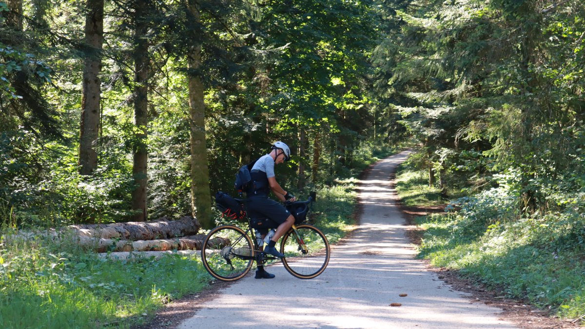 WeelzFr's tweet image. #GTJ x Weelz | J1 ⛰️🌲🚴‍♂️
On a quitté Pontarlier ce matin et les premiers sentiers forestiers se sont offerts à nous rapidement (le dénivelé aussi). La progression est lente, pas tant à cause des côtes mais des nombreux arrêts images 📸🎥
#velotourisme #montagnesdujura