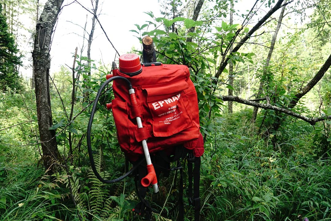 Denezhkin_Kamen's tweet image. Авиалесоохрана покинула заповедник.
#пожар #заповедник #ДенежкинКамень #МЧС #Авиалесоохрана
denkamen.ru/node/460