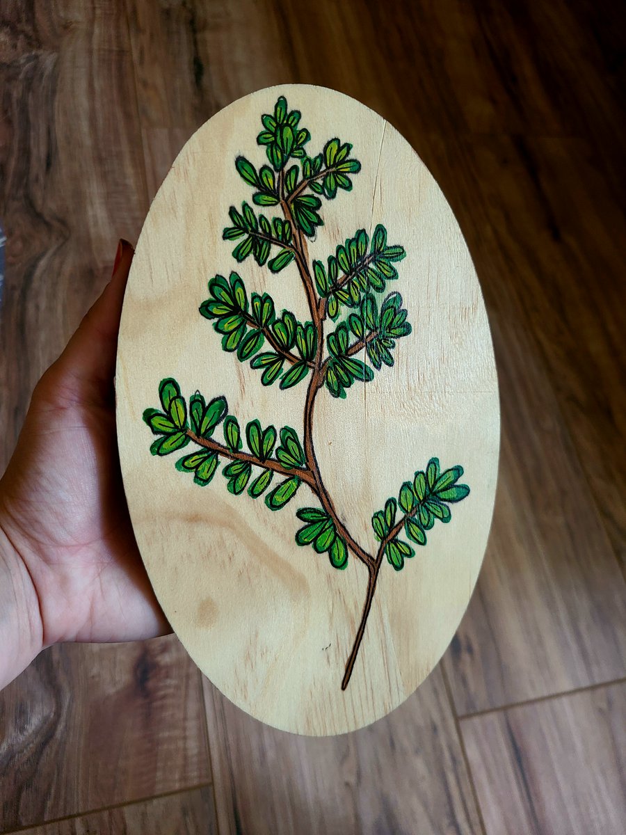 eclecticangst's tweet photo. hi all! let me introduce myself - i'm sara and i make paintings on all different types of materials! i love doing floral/natural art but i am always trying to expand my skills. here's a little about me thread: https://t.co/zqccio9lwI
