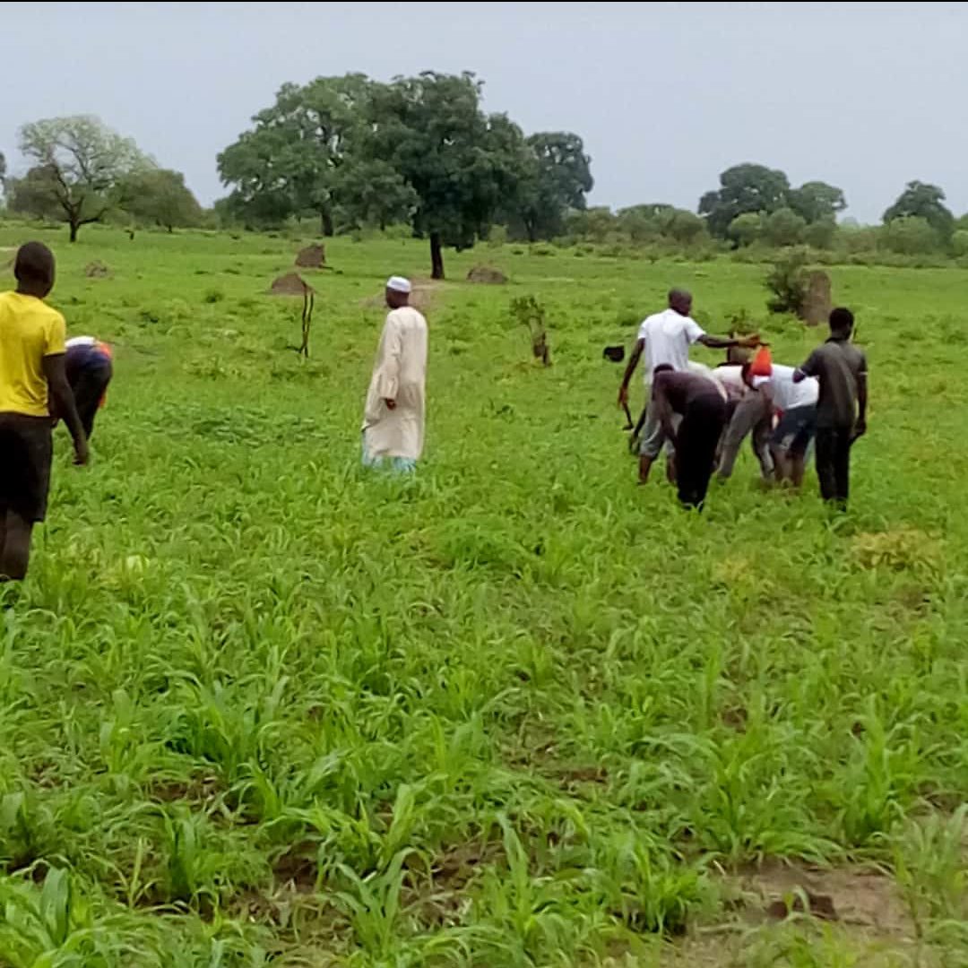 modoub20's tweet image. Raining season in the #Gambia.. #thesmillingcoast
