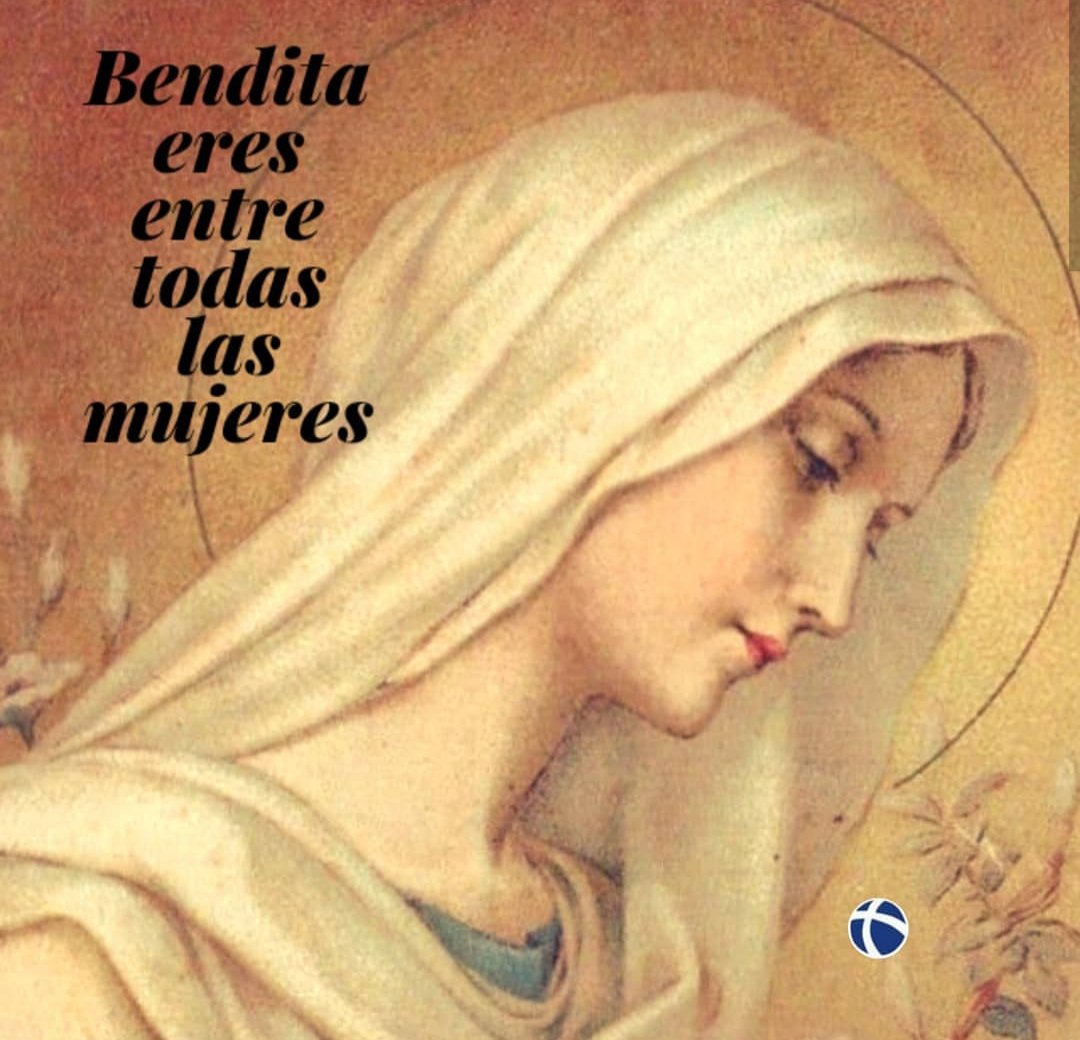 Zuriñe tweet media