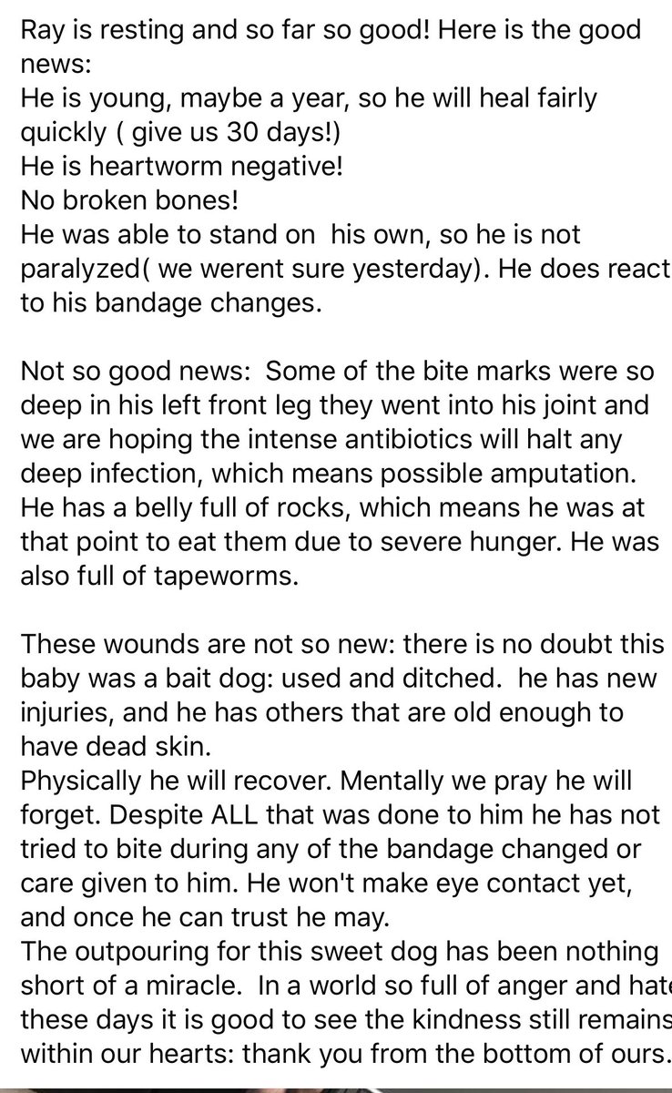 reddogsusie's tweet photo. 🔴FURTHER UPDATE ON RAY
Pls read below!
#MASA293 #Memphis https://t.co/ydTlPXGYqs