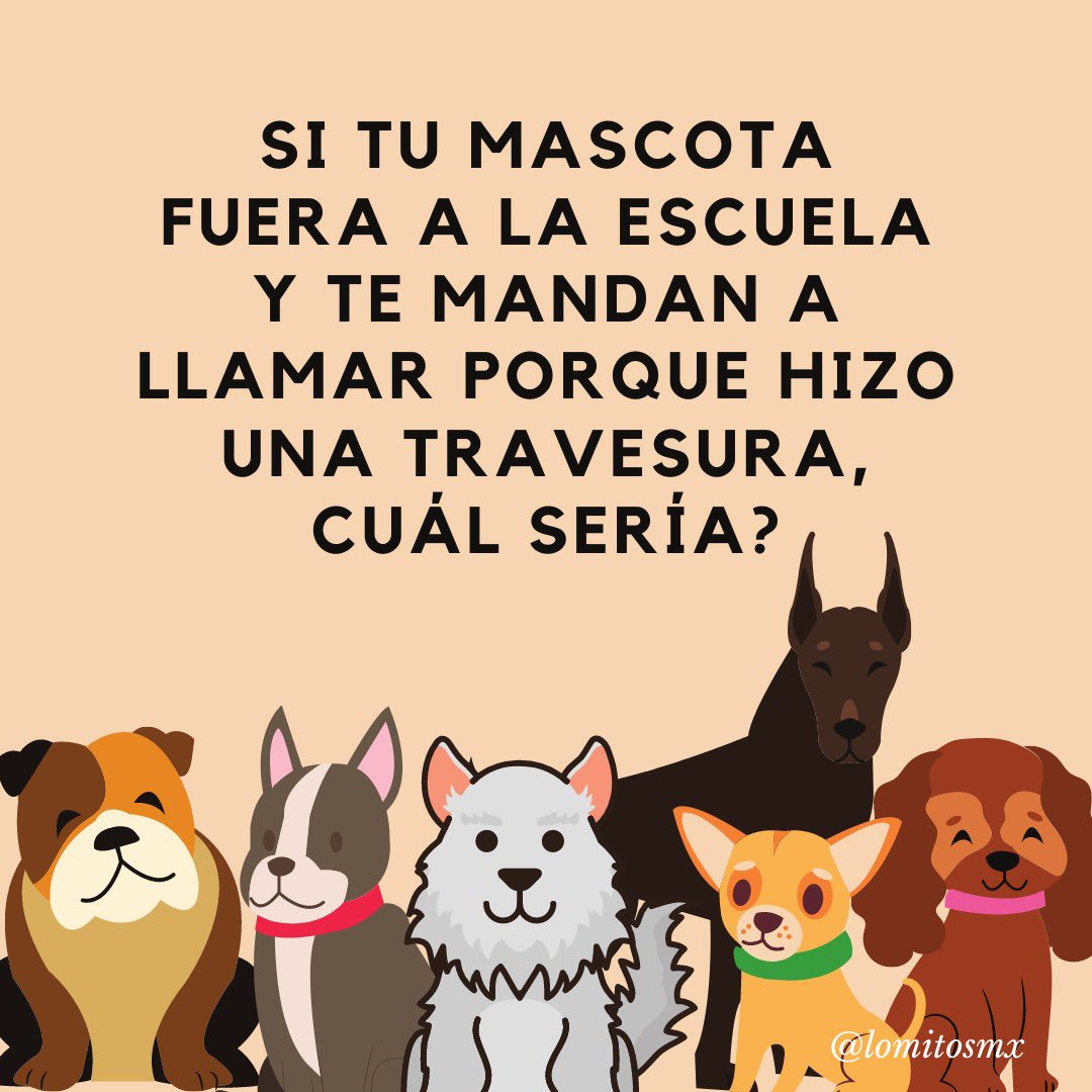 Porque se comió la manzana de la Miss🍎, se hizo pipí adentro del salón😳, se peleó con sus compañeros🐶, se comió su tarea😅, se durmió en clase😴...
¡Hay taaaaantas, y queremos saber la tuya!🙊