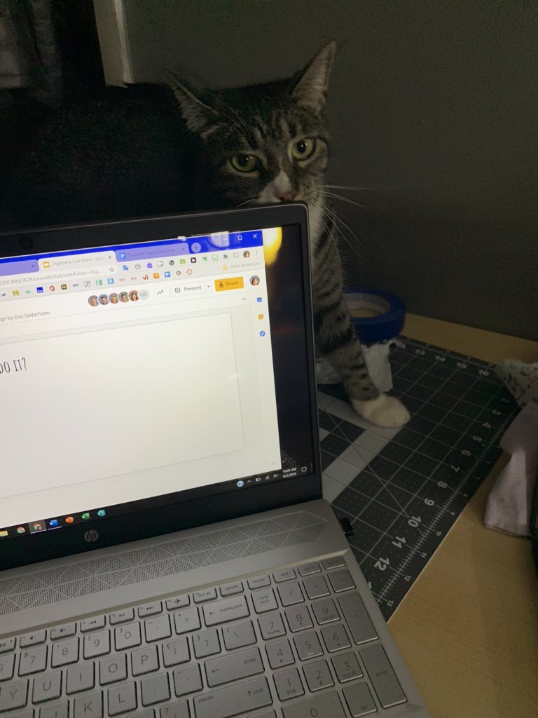 juleswoz712's tweet photo. Tilly is learning how to digitize sub plans with me. #wsdlearn https://t.co/EmEmaIF6Lg