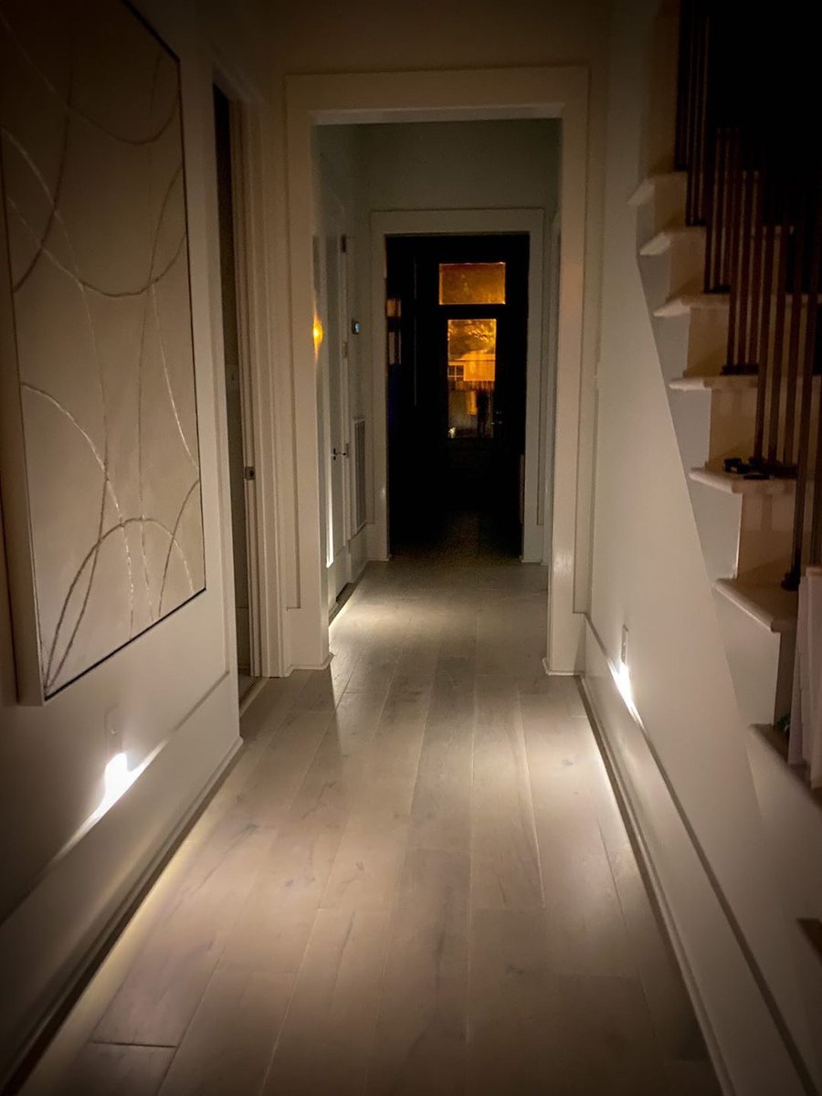 Snap_Power's tweet image. If you were looking for a sign to buy the GuideLight 2 Plus, this is it. 🤩 Thank you for sharing the light, Stephanie!