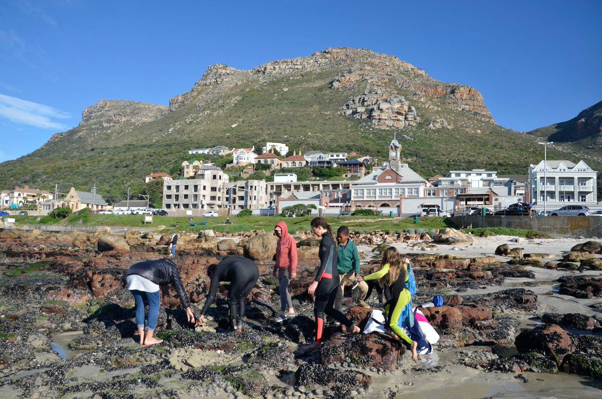 Two Oceans Aquarium tweet media