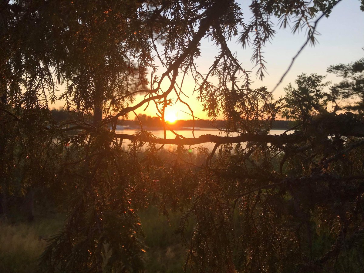 Jutta Streicher 🕊️ tweet media