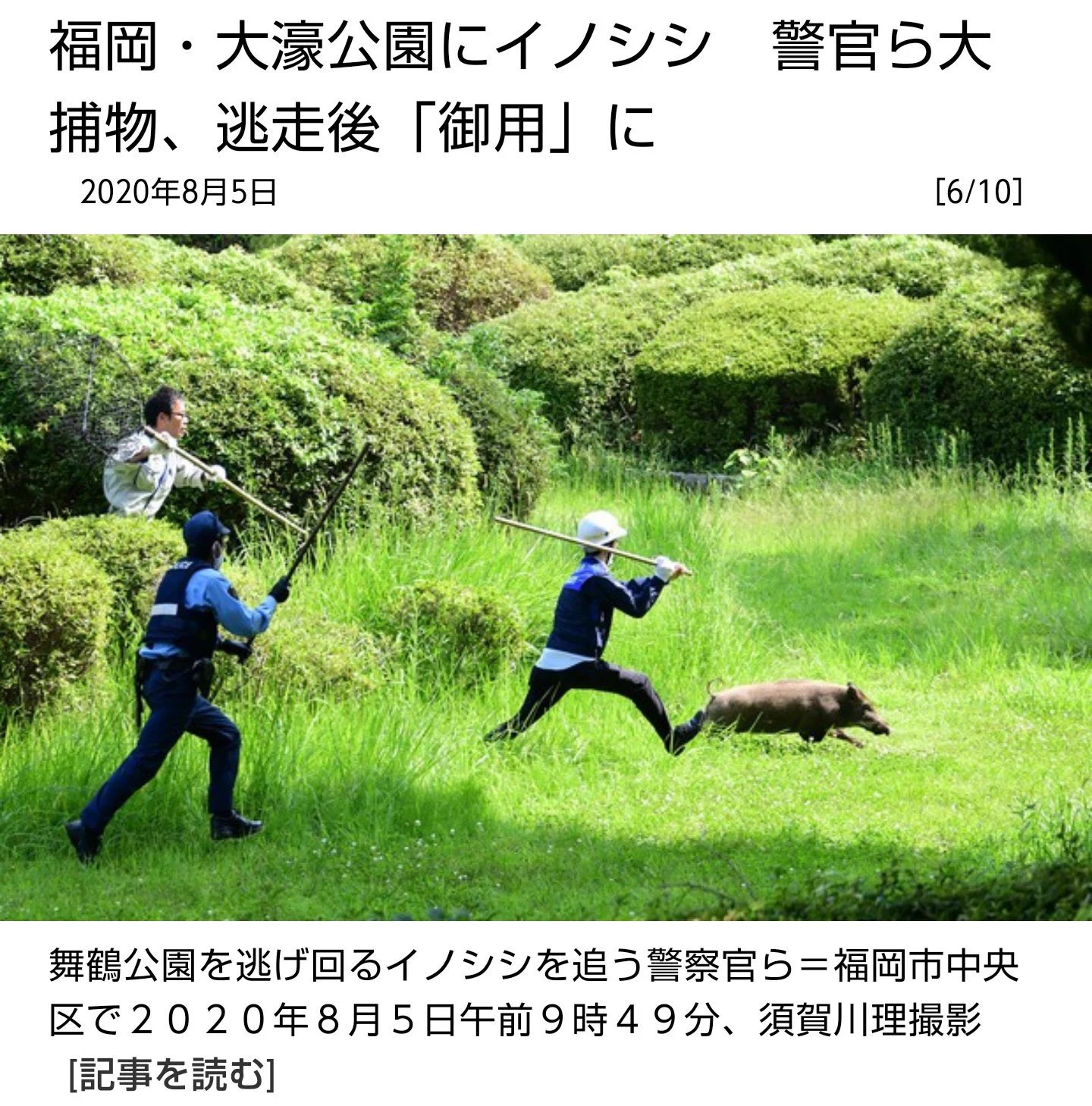 @milky375 二枚目の写真めちゃくちゃ躍動感あってすごい 