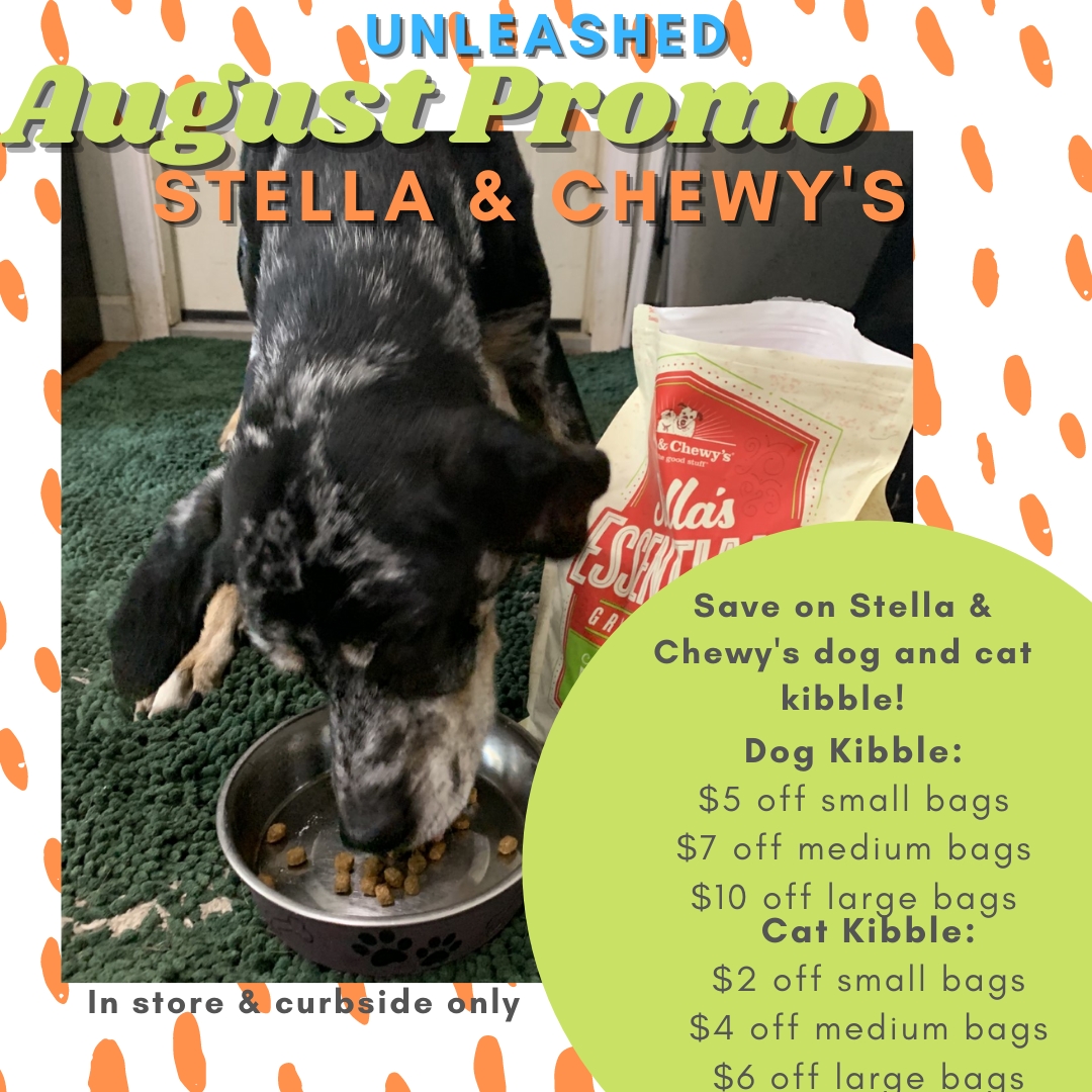 unleashed the dog and cat store